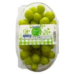 アメリカ などの国外産 まるごと食べられるぶどう（緑）大パック 1パック