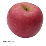 青森県 などの国内産 りんご（ふじ）2個入 1パック