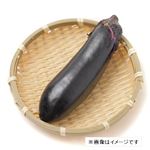 群馬県などの国内産 なす 1袋 【8月8日～8月12日のお受取り】