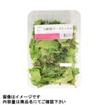 静岡県 などの国内産 5種のリーフミックス 1パック