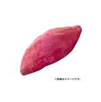 茨城県 などの国内産 行方の黄福（栗かぐや）2本入 1袋