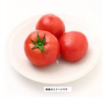 兵庫県 などの国内産 たまとまトマト 1パック