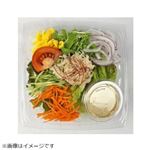 ほぐし蒸し鶏の棒棒鶏サラダ（増量）1パック