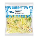 5種野菜の千切りキャベツ 1パック