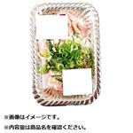丸協コリコリ豚塩ホルモン 130g（100gあたり（本体）230円）1パック