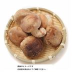 徳島県 などの国内産 生しいたけ（菌床）特大パック 1パック