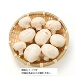 岡山県 などの国内産 ホワイトマッシュルーム 1パック