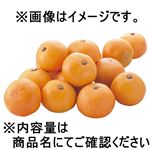 和歌山県 などの国内産 みかん（ゆらっ子）1袋