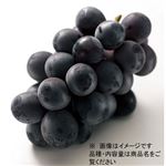 山梨県などの国内産 ぶどう（ピオーネ）1房 【8月8日～8月12日のお受取り】