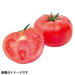 熊本県 などの国内産 トマト 1個 【7月14日～7月15日のお受取り】