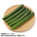 愛媛県 などの国内産 きゅうり大袋 1袋 【8月29日～8月31日のお受取り】