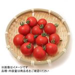 北海道 などの国内産 ミニトマト 中パック 1パック 【7月15日のお受取り】
