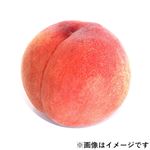 長野県などの国内産 もも 1個 【8月8日～8月12日のお受取り】