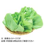 福岡県などの国内産 サラダ菜 1袋
