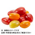 岡山県などの国内産 サラ プラムトマトミックス 中パック 1パック