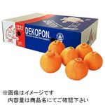 【予約商品】熊本県産 デコポン化粧箱 8～10個入 1箱 【12月30日のお届け】