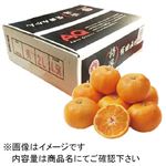 【予約商品】和歌山県産 有田みかん（特選）2Lサイズ4.5Kg入 1箱 【12月30日のお届け】