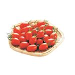 宮崎県などの国内産 トップバリュ 減の恵みミニトマト（アイコ）大パック 1パック