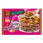 バーミヤン プレート麻婆豆腐チャーハン 315g