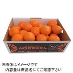 【予約商品】和歌山県産 有田みかん（HQ）Mサイズ3Kg入1箱 【12月30日のお届け】