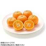 熊本県などの国内産 ポンカン 1パック