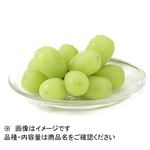 山梨県 などの国内産 ぶどう（シャインマスカット）少量 1パック