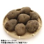北海道産 じゃがいも（大袋）1袋 【12月5日～12月7日の受取り】