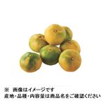 和歌山県などの国内産 早出しこつぶみかん 1袋 【11月7日～11月9日の受取り】