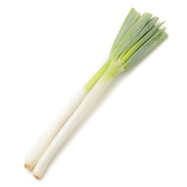 おうちでイオン イオンネットスーパー 群馬県などの国内産 長ねぎ L