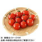 新潟県産 八色ミニトマト 300g（100gあたり（本体）138円）1パック 【8月1日～8月3日の受取り】
