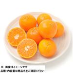 トップバリュ オーストラリア産 手で皮がむけるオレンジ 1袋 【8月29日～8月31日の受取り】