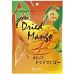 デルタインターナショナル フィリピン産まるごとドライマンゴー 130g
