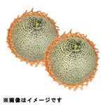 【北海道フェア予約】北海道産富良野メロン 2個入 1箱【7／4～6お渡し】