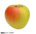 長野・青森県などの国内産 りんご（ぐんま名月）1個 【11月7日～11月9日の受取り】