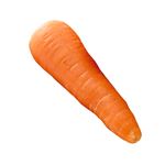 北海道 などの国内産 にんじん 1本 【11月3日～11月4日のお受取り】