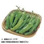 長崎県 などの国内産 ししとう大袋 1袋 【7月14日～7月15日のお受取り】