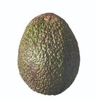 ペルー などの国外産 アボカド小玉 1個 【12月8日～12月9日のお受取り】