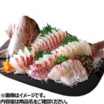 【予約】 愛媛県産他 真だい（養殖）姿造りお刺身1尾分 1パック  【11月22日～11月24日のお受取り】【14時～18時のお受取り】