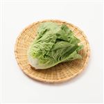 イオン農場 トップバリュ グリーンアイ オーガニック 埼玉県などの国内産 ミニロメインレタス 1袋
