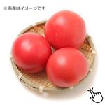 トップバリュ 減の恵み 北海道などの国内産 トマト 450g入 1袋