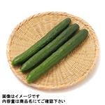 栃木県などの国内産 きゅうり 4本入 1袋