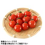 茨城県などの国内産 ミニトマト 1パック