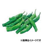 トップバリュグリーンアイ 鹿児島県などの国内産 ししとう 1袋