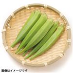トップバリュグリーンアイ 和歌山県などの国内産 オクラ 1袋