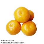愛媛県産 高糖度みかん（百歓）1袋 【10月24日～10月26日の受取り】