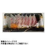 愛媛県産 真鯛（養殖）お刺身 8切入 1パック 【10月24日～10月26日の受取り】