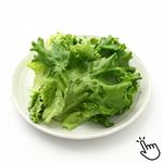 トップバリュ 千葉県などの国内産 ちぎりプリーツレタス 1袋
