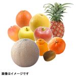 【予約】 果実詰め合わせ（大）10点入 1盛 ※【6日後以降配送】