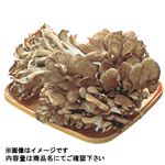 【予約】 新潟県などの国内産 大きい株舞茸 1箱 ※【6日後以降配送】