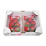 【予約】 栃木県産 とちあいか 平パック 250g×2パック入 1セット ※【6日後以降配送】